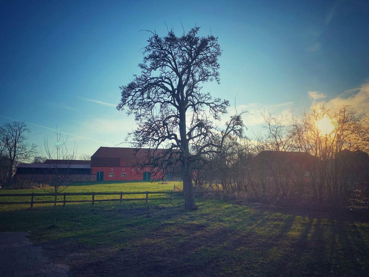 הוילה Riepsdorf Schickes Landhaus In Koselau&Ostsee מראה חיצוני תמונה