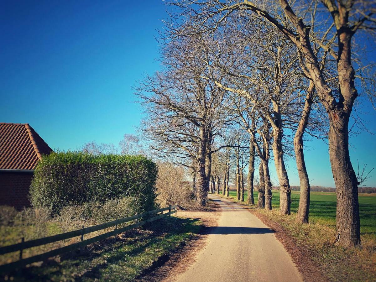 הוילה Riepsdorf Schickes Landhaus In Koselau&Ostsee מראה חיצוני תמונה